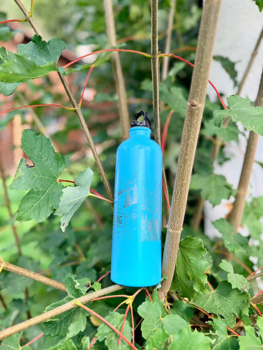 "Up the Mountain" insulated hiking bottle